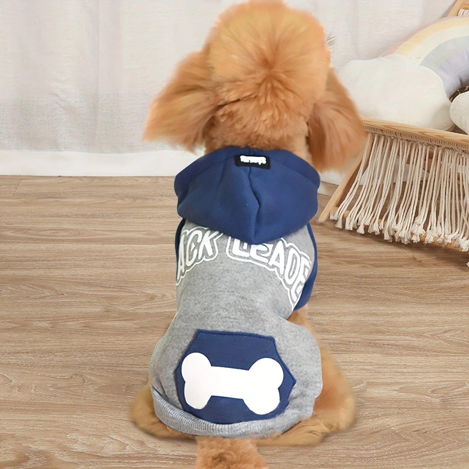 New Fall and Winter Pet Dog Color Blocking Sweater Padded and Thickened Warm Sweater Trend Pet Clothes