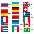 Customized 3*5FT Digital Printing Polyester Fabric for Outdoor Hanging National Flag Premium Quality Product Category Flags