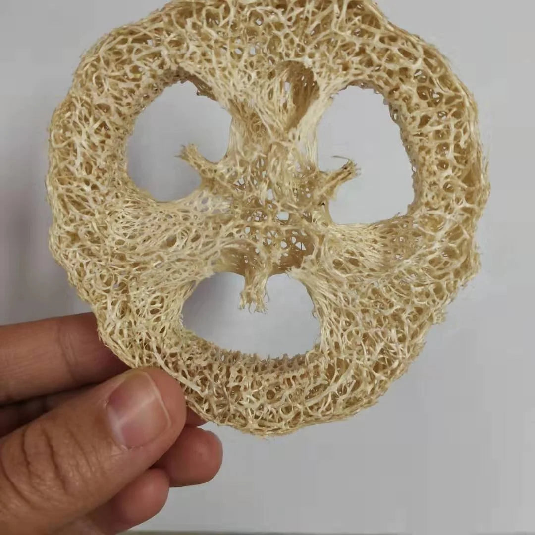 C003 Si Gua Zao Tuo Natural Environmental Luffa/Loofah Slices Cuts for Soap Making Loofah Sponge Soap Holder