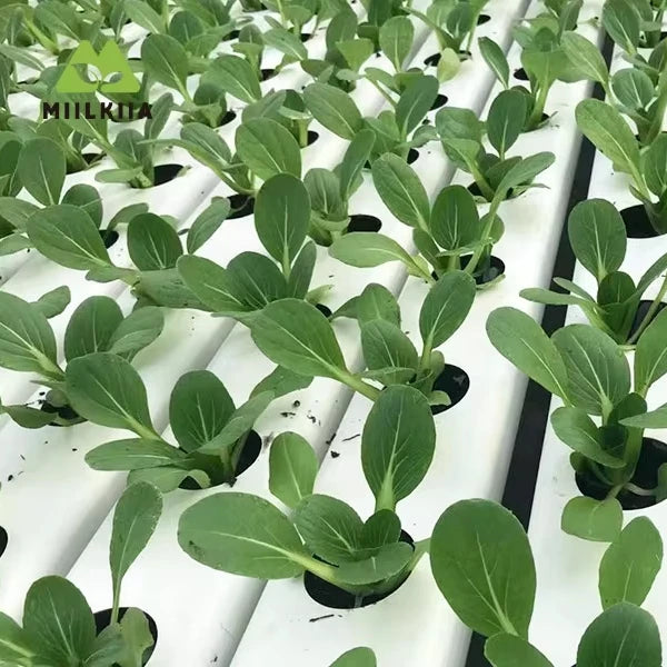 Food Grade PVC Black and White Hydroponic Channels  90x50mm for Leaf Vegetables Efficient Growth
