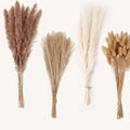 Colored Natural Dried Pampas Grass Decor Flower Bouquet Wedding Centerpieces Decorative Dried Flowers Small Rabbit Tail Grass
