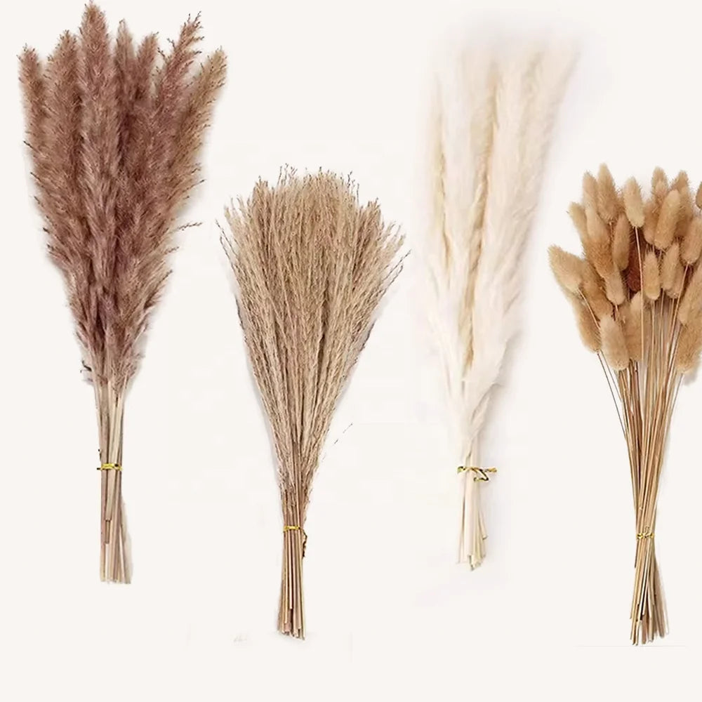 Colored Natural Dried Pampas Grass Decor Flower Bouquet Wedding Centerpieces Decorative Dried Flowers Small Rabbit Tail Grass