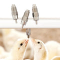 YYX LM02 Chick Water Nipples Stainless Steel Chicken Nipple Drinker Automatic for Broiler Watering Drinking Line System