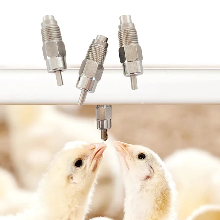 YYX LM02 Chick Water Nipples Stainless Steel Chicken Nipple Drinker Automatic for Broiler Watering Drinking Line System
