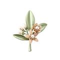 Jachon Simple Retro Style Saree Brooch Pin Freshwater Pearl China Wholesale Rhinestone Brooches for Dresses