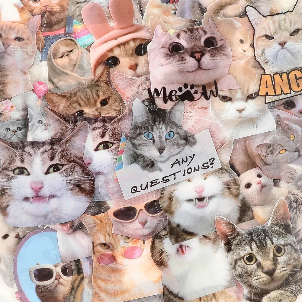 50PCS Waterproof transparent realistic cat meme sticker