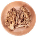 Edible coral mushroom Natural Dried Ramaria Botrytoides Coral Fungus for Sale