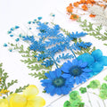 M028 Hot Floral Dried Pressed Flowers Mixed Pack for Wedding Art Card & Scrapbooking Crafts Real Natural Decorative Plants MegaBDM