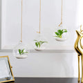 Glass Flowerpot Office Garden Decoration Succulent Vase Terrarium Container Hanging Globe Landscape Bottle