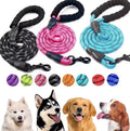 Hot Selling New Style Reflective Nylon Round Rope Dog Leash Heavy Duty & 360Â° Swivel Hook for Walking Running Training