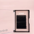 Wholesale Price 8-25mm J B C D Dd M L Korean Pbt Fiber Silk Eyelashes Extension
