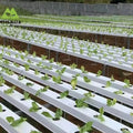 Openable White Flat Bottom 100*50mm Hydroponic Channels PVC Food Grade NFT System