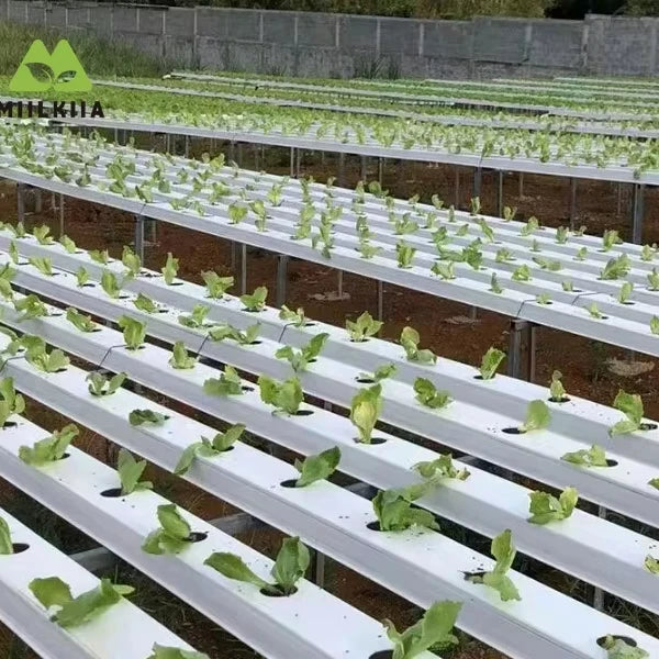Openable White Flat Bottom 100*50mm Hydroponic Channels PVC Food Grade NFT System