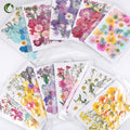 Mini Vacuum Package Petals Frame Pressed Preserved Dry Natural Plants Dried Flower for Nails Candles Resin Epoxy Phone Case