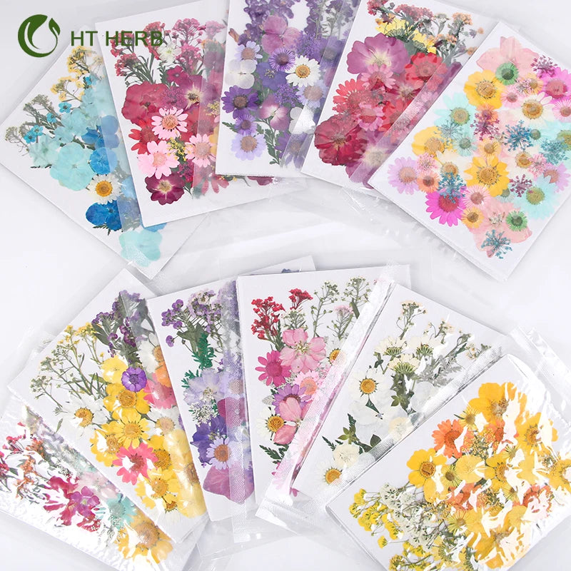 Mini Vacuum Package Petals Frame Pressed Preserved Dry Natural Plants Dried Flower for Nails Candles Resin Epoxy Phone Case