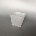 10cm Plastic Mini square Pot for Succulent and Cactus