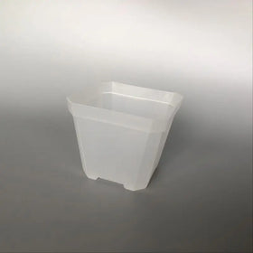 10cm Plastic Mini square Pot for Succulent and Cactus