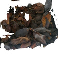 Natural MAGNOLIA Flower Dried FLOS MAGNOLIAE OFFICINALIS for Sale