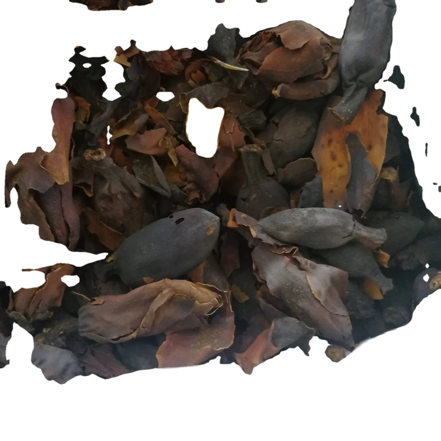 Natural MAGNOLIA Flower Dried FLOS MAGNOLIAE OFFICINALIS for Sale