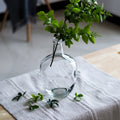 Nordic Minimalist Transparent Glass Vase Home Decoration Pieces Fashion Style