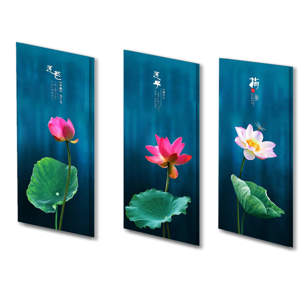 Chinese Lotus Flower Canvas Poster Picture Wall Hangings Home Art Decor Oil Painting on Canvas Posters and Prints Art Picture