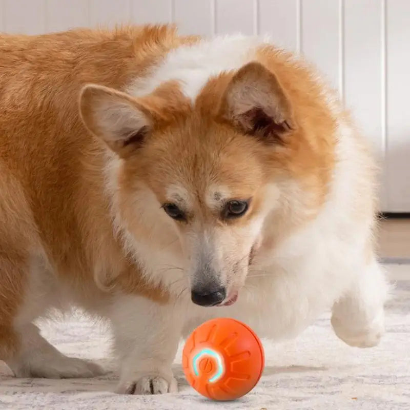 Automatic Interactive Pet Ball: Enhancing Playtime for Dogs Toys Ball