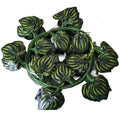 EG-G231 Screen Privacy Fence Plants Wholesale Garland Plant Leaves Greenery Green Artificial Ivy Vines