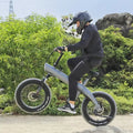 EU US Warehouse UK Drop Shipping E Bike 750w 1000w Motor 48v/36v 75km Range 20 Inch Fat Tire off Road Bicycle Electric Bike