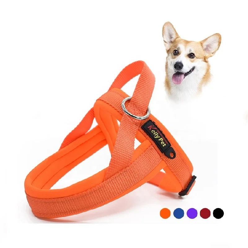 Personalized Nylon Adjustable Pet Vest Universal for Small Medium Large Dogs Soft Comfortable Adjustable Pet Dog Harness
