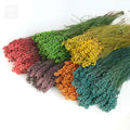 Wholesale Hot Sale Preserved Flowers Coral Fruit for Decorative Flowers