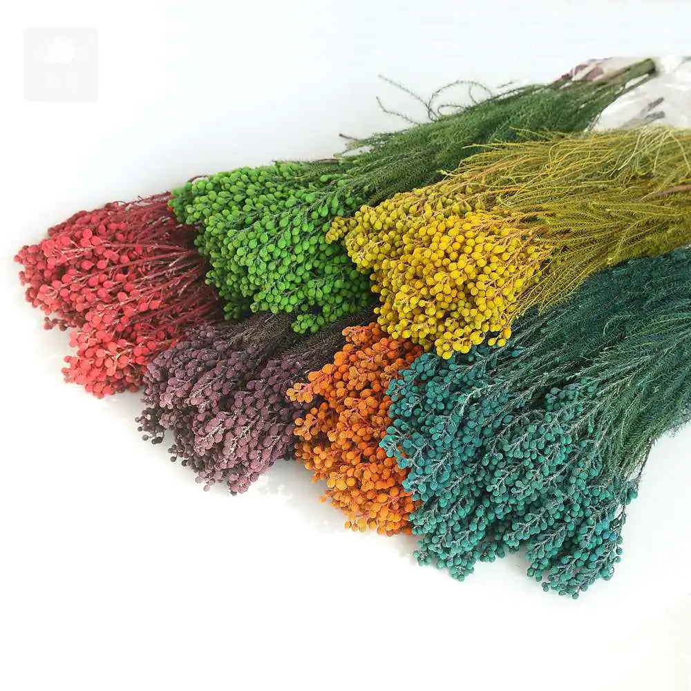 Wholesale Hot Sale Preserved Flowers Coral Fruit for Decorative Flowers