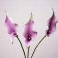 Wholesale Real Touch Long Stem EVA Artificial Double Petals Calla Lily Flowers For Home Wedding Vase Decor