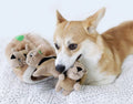 Best Selling Filled Dog Plush Toy Squeaky Puzzle Plush Squirrel Dog Toy