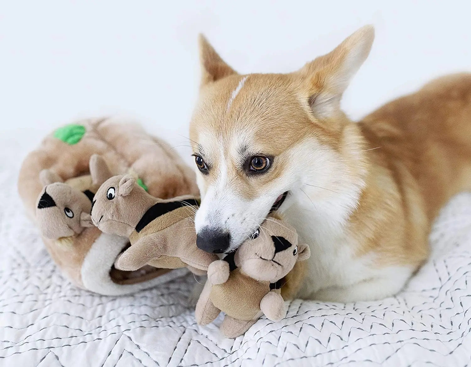 Best Selling Filled Dog Plush Toy Squeaky Puzzle Plush Squirrel Dog Toy