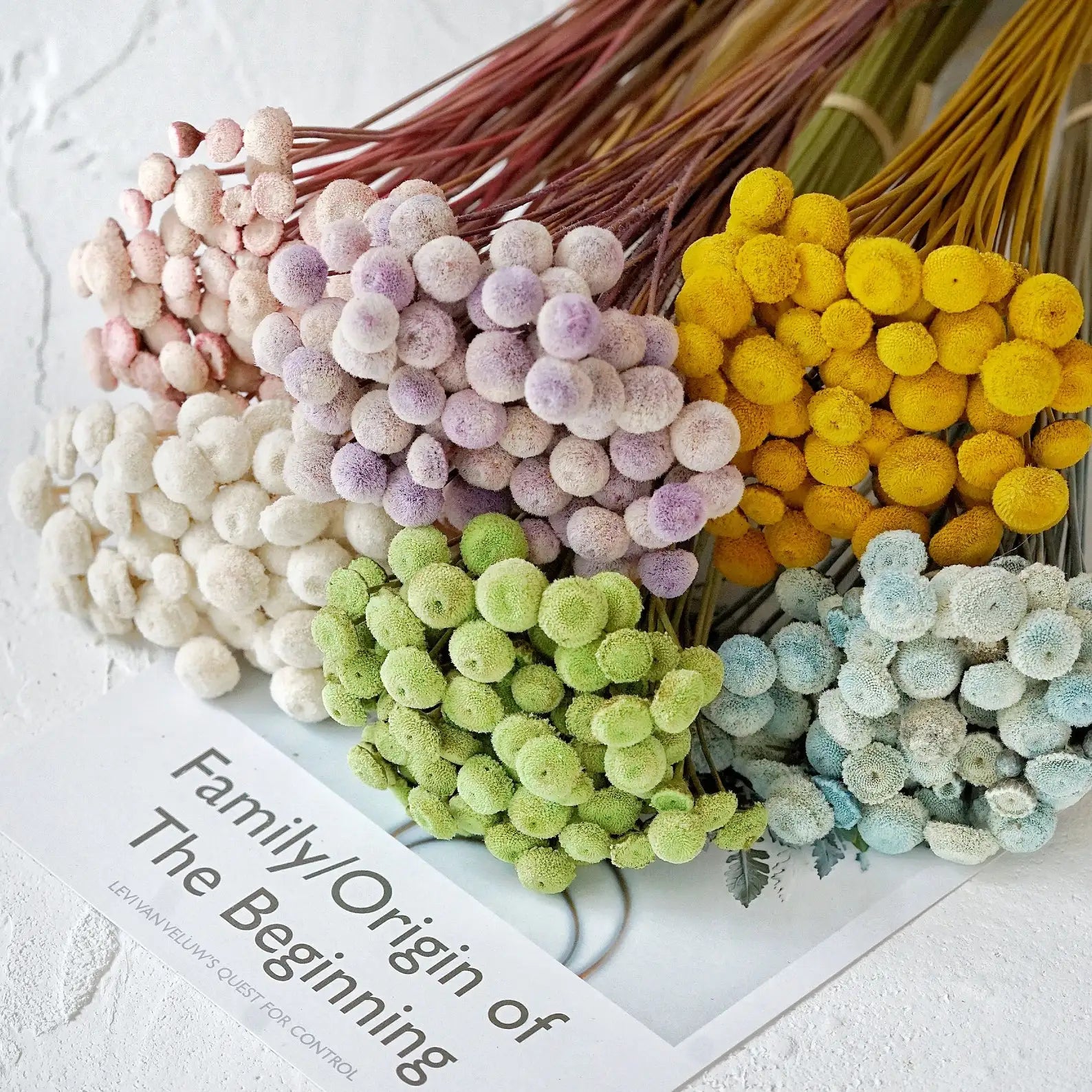 Preserved Natural Dried Flower Bouquet DIY Customizable Wedding Bridal Decor Top Best Seller 2026 Golden Ball