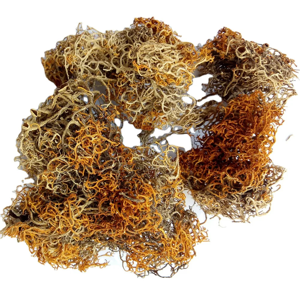 China Wild rare Precious Red Snow Fungus Dried Red Snow Tea for Sale