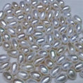 Hot Sale 2A 5-11mm White Natural Freshwater Pearl Rice Pearl Loose Pearl for Jewelry Earring Necklace Making