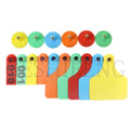 Ear Tag With Printing Number High Quality Cow Cattle Lock Ear Tag Eartag