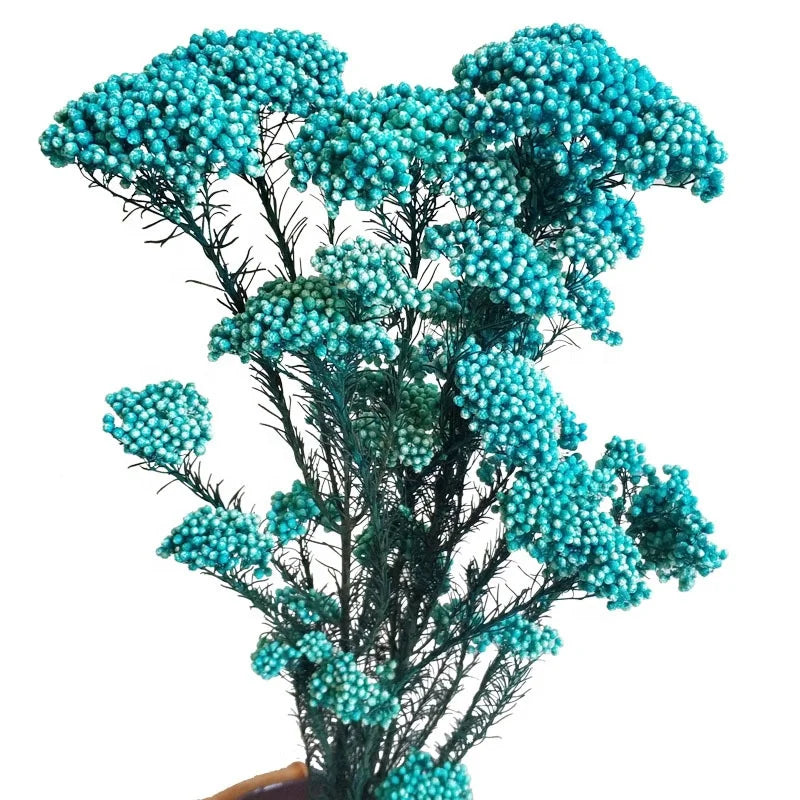 Wholesale Colorful Millet Valentines Day Gift Dried Flowers Plants Preserved Rice Flower for Home Decor