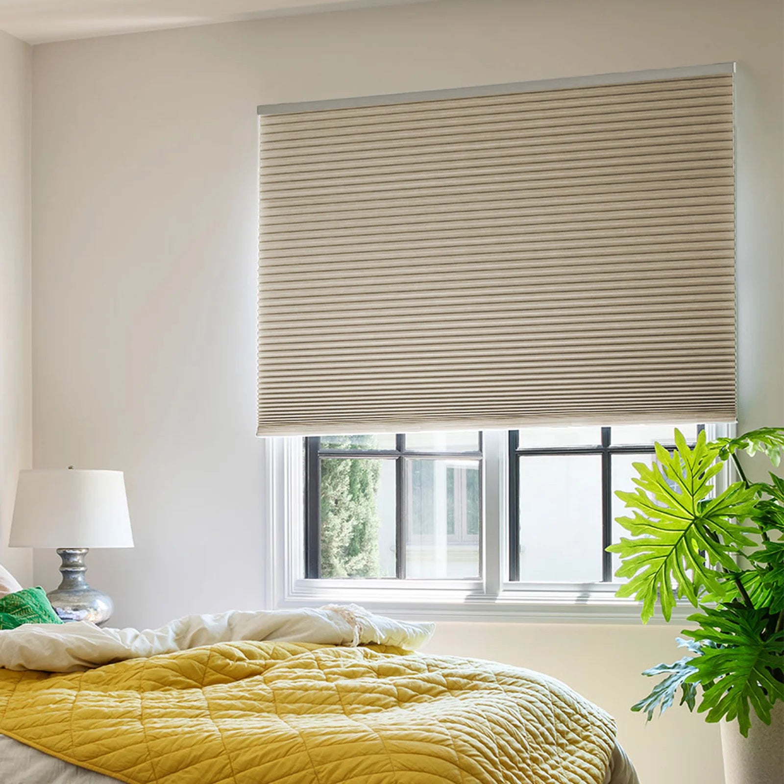 ZSTARR Window Treatment 1'' Single Cell Light Filtering Blackout Cordless Deluxe Cellular Shades Honeycomb Blinds for Kids Room