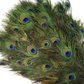 Cheap Sale Natural Blue 110-120 cm Peacock Tail Feather for Carnival Dance Performance Costumes Decoration