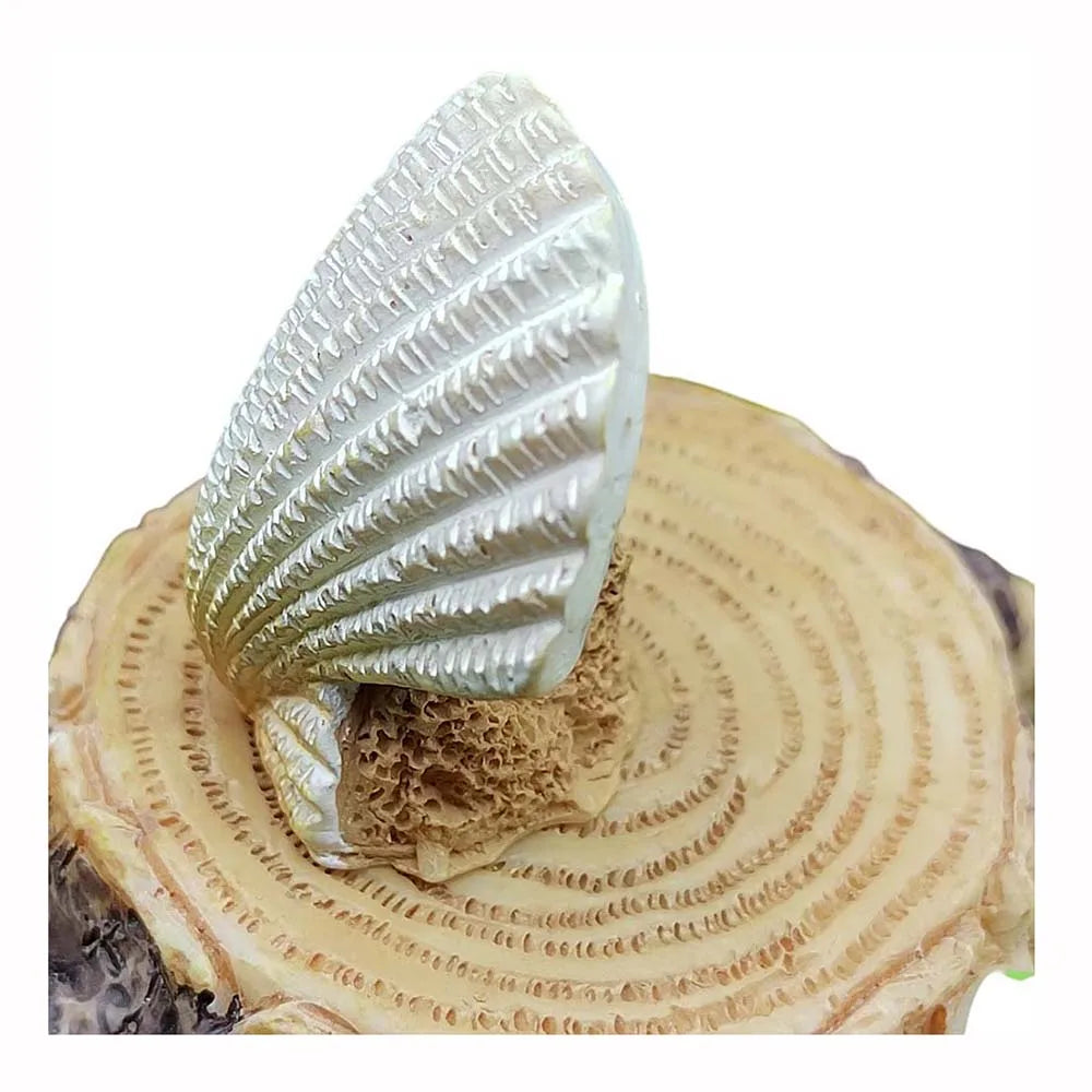 Colorful Ocean Starfish Shells Ornament Mini Crafts Micro Landscape Miniatures Fairy Garden Decor Fish Tank Accessories