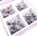 3d-20d Wispy Loose Promade Fans 1000 Box Premade Volume Pro Made Fans Lash Extensions Promade Fans Eyelash Extensions