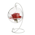 Terrarium Round Globe Shape Clear Hanging Glass Vase Flower Plants Terrarium Container Micro Landscape
