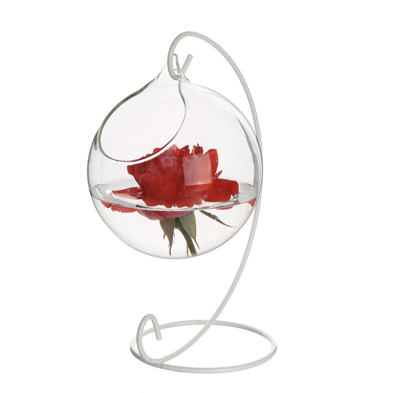 Terrarium Round Globe Shape Clear Hanging Glass Vase Flower Plants Terrarium Container Micro Landscape