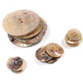 Eco-friendly Opp Bag Customized Engrave Shirt Button Custom Size Round Japanese Akoya Natural Shell Buttons for Garment Apparel