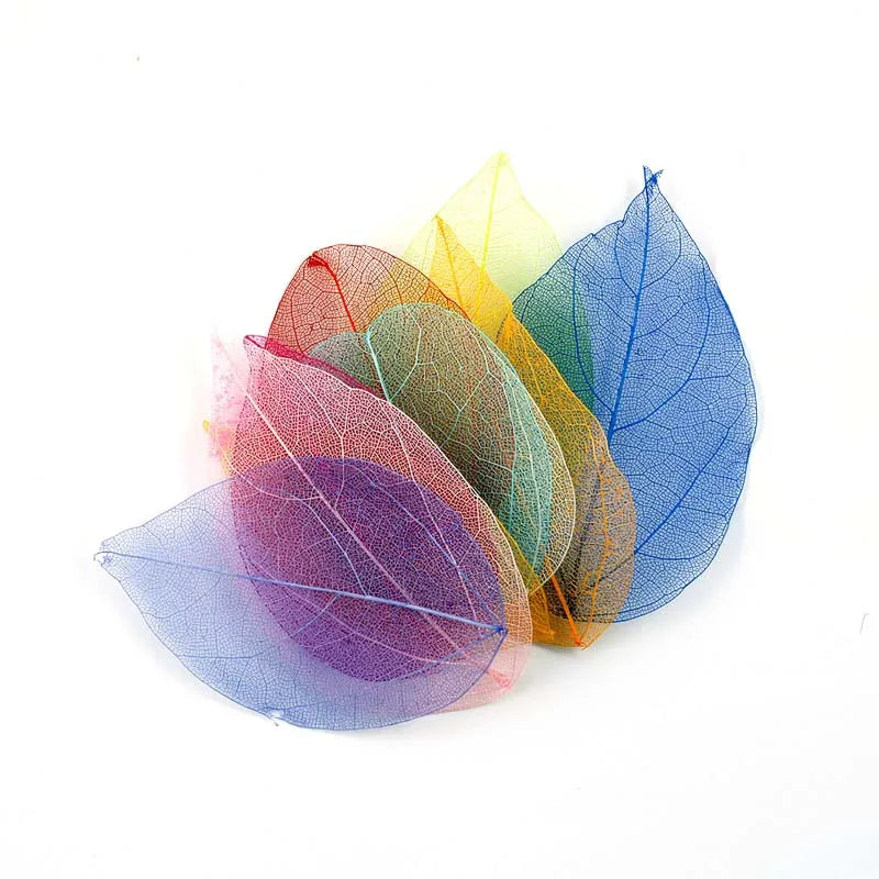 INS Colorful Natural Dried Flower Skeleton Leaves Plant Leaves Pressed Flowers Resin Crafts Phone case DIY Materials