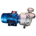 2BV Series Corrosion Resistant Water Ring Vacuum Pump