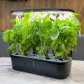 ScienGarden Portable Self Watering Smart Planter Indoor Hydroponic System Kit Home Herb Garden Desktop Grow System Modern ABS