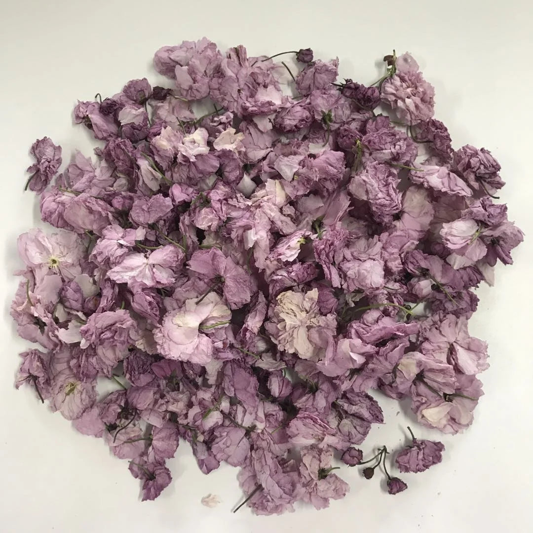 4081 Ying Hua Natural Health Dry Cherry Blossom Flower Tea
